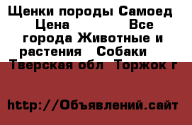 Щенки породы Самоед › Цена ­ 20 000 - Все города Животные и растения » Собаки   . Тверская обл.,Торжок г.